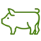 pig-green-icon